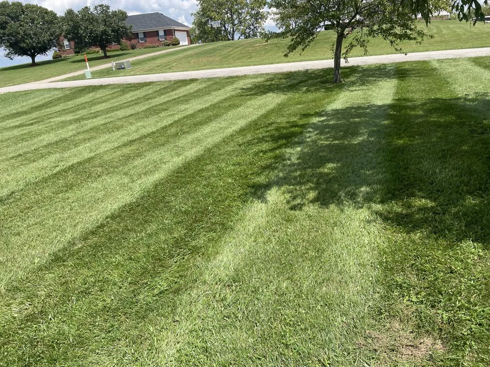 Expert yard maintenance experts serving Springfield, KY - Jayson’s lawn care