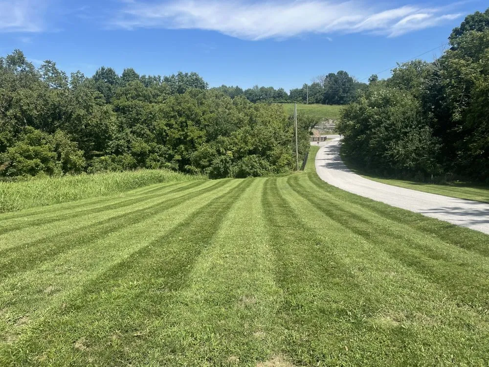 Professional yard cleanup service in Springfield, KY by Jayson’s lawn care