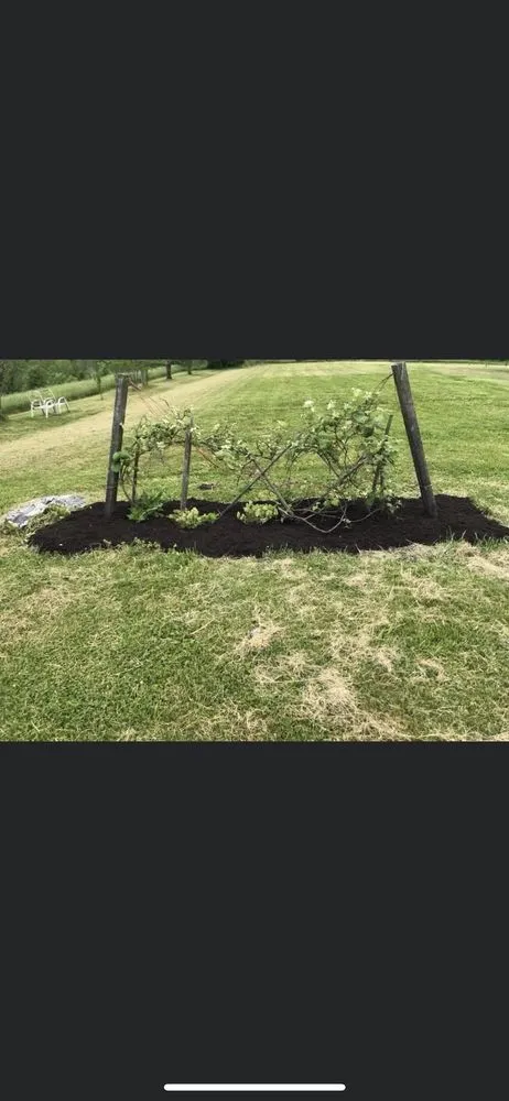 Custom landscape design in Springfield, KY by Jayson’s lawn care