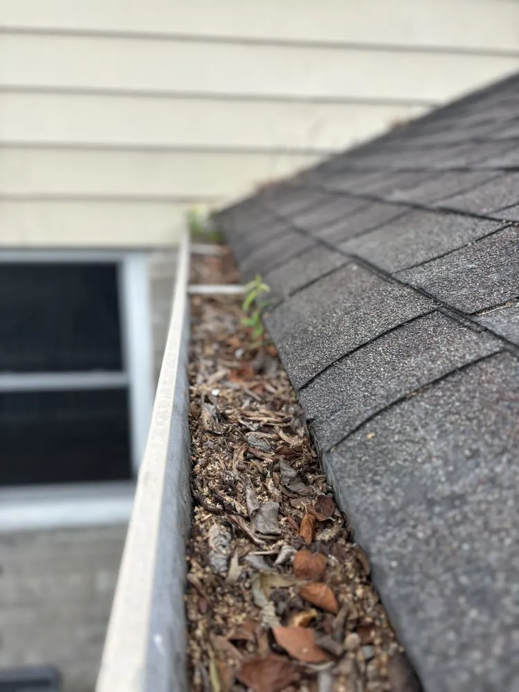 Affordable outdoor landscaping for residential properties across Indianapolis, IN - JayyKayy Home&Lawn service