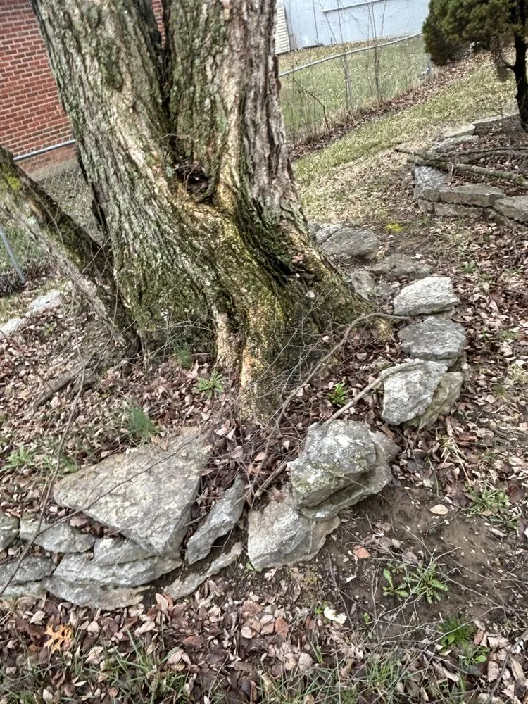 Trusted landscape design in Indianapolis, IN - JayyKayy Home&Lawn service