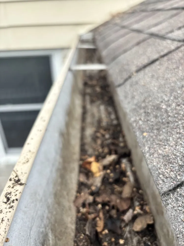 Custom landscape design in Indianapolis, IN - JayyKayy Home&Lawn service