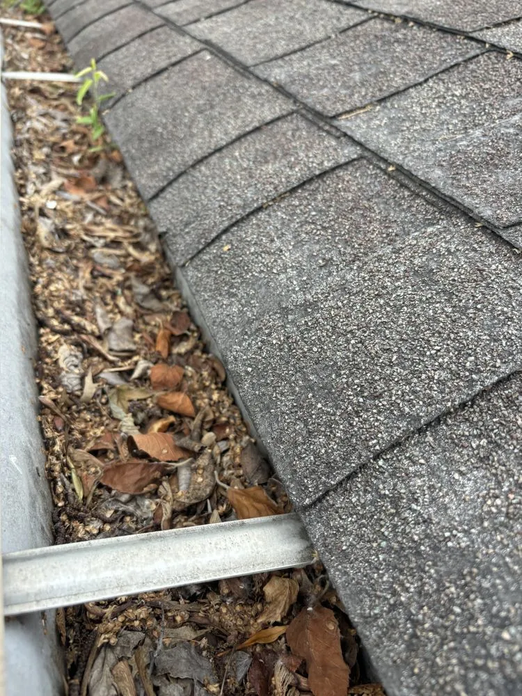 Top-rated landscaping services for year-round maintenance in Indianapolis, IN by JayyKayy Home&Lawn service