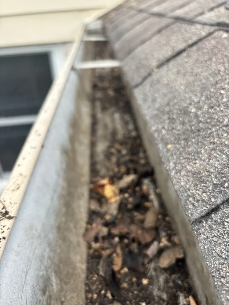 Custom yard maintenance for year-round maintenance across Indianapolis, IN - JayyKayy Home&Lawn service