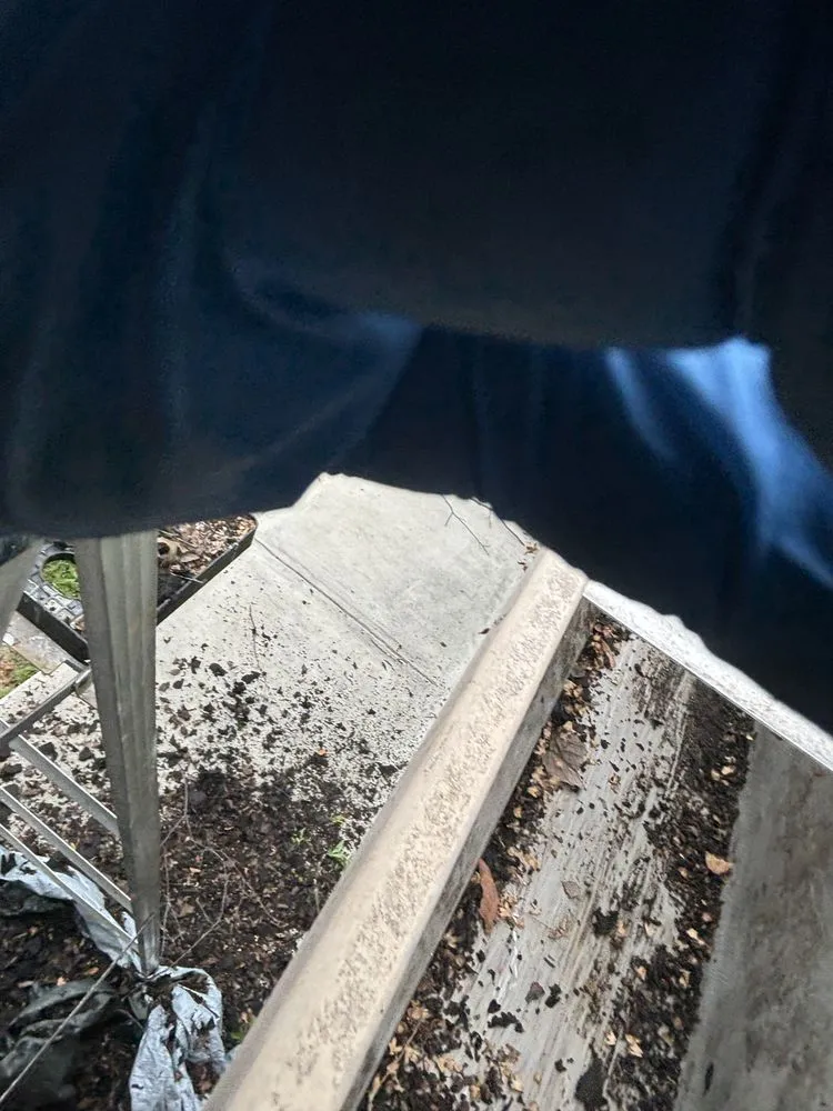 Top-rated landscaping services with custom design in Indianapolis, IN by JayyKayy Home&Lawn service