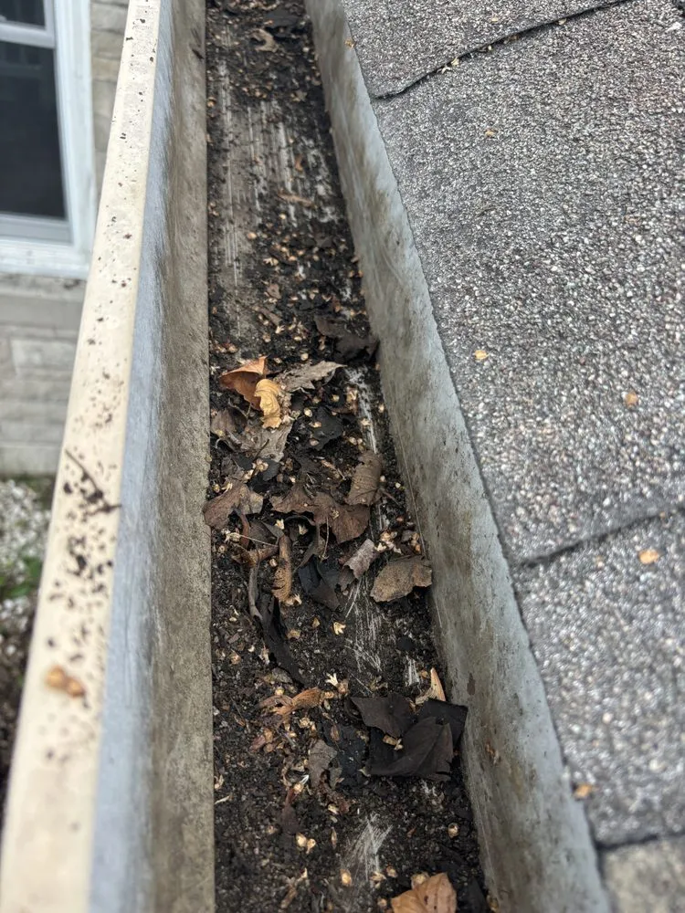 Professional lawn care service for homes in Indianapolis, IN by JayyKayy Home&Lawn service