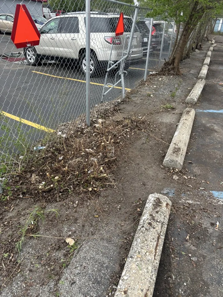 Affordable outdoor landscaping for beautiful yards across Indianapolis, IN - JayyKayy Home&Lawn service