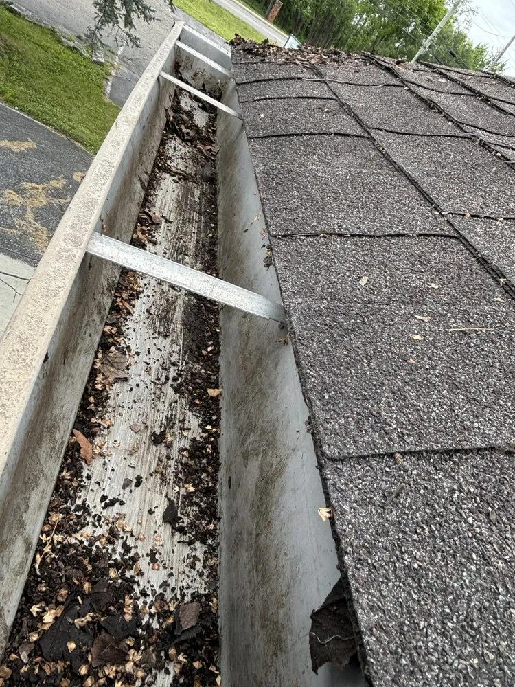 Professional yard cleanup service in Indianapolis, IN - JayyKayy Home&Lawn service