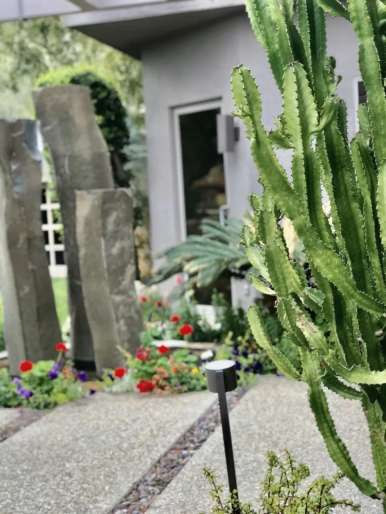 Expert yard cleanup service in Indio, CA by Jaz Landscaping