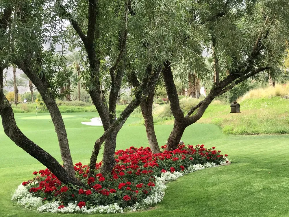 Reliable outdoor landscaping experts serving Indio, CA - Jaz Landscaping