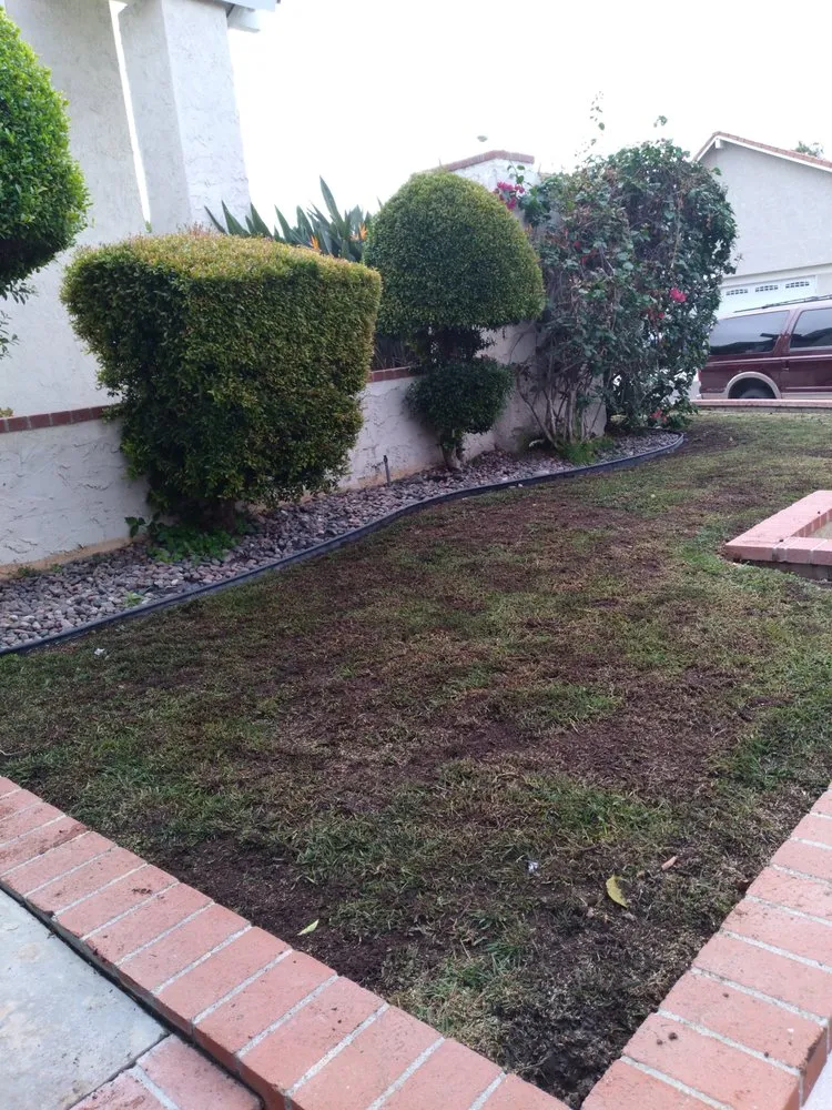 Trusted outdoor landscaping in San Jacinto, CA - Jazmin Landscaping