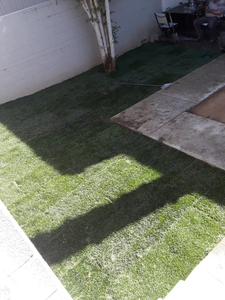 Expert landscaping services in San Jacinto, CA - Jazmin Landscaping