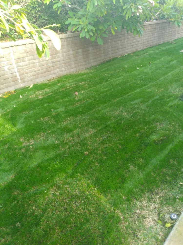 Reliable landscape design with custom design across San Jacinto, CA - Jazmin Landscaping