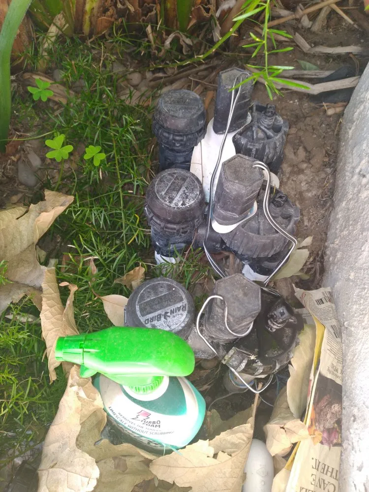 Top-rated landscape design for year-round maintenance across San Jacinto, CA - Jazmin Landscaping