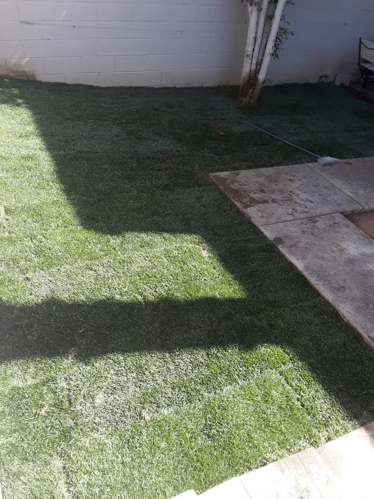 Reliable landscape installation near you in San Jacinto, CA by Jazmin Landscaping