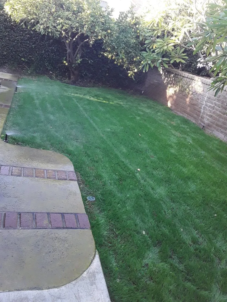 Trusted lawn mowing service near you across San Jacinto, CA - Jazmin Landscaping