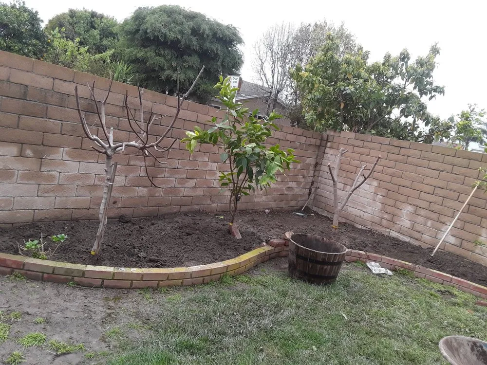 Professional lawn mowing service for outdoor upgrades across San Jacinto, CA - Jazmin Landscaping