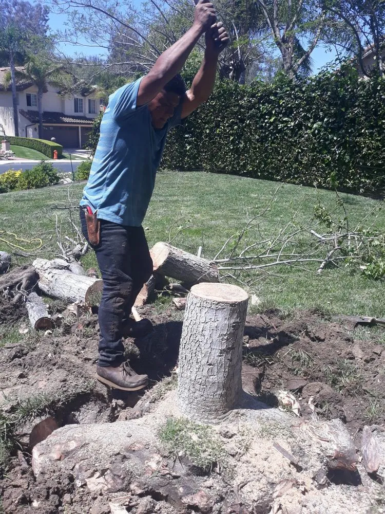 Trusted garden landscaping in San Jacinto, CA - Jazmin Landscaping