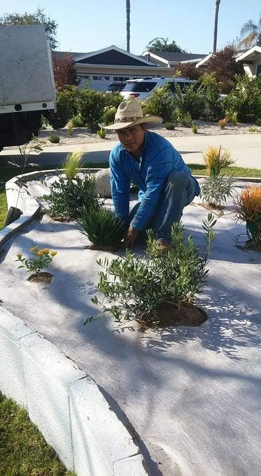 Professional garden landscaping near you across San Jacinto, CA - Jazmin Landscaping