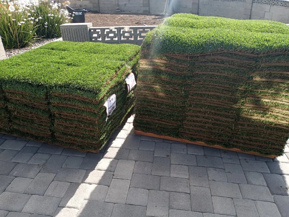 Local yard maintenance in San Jacinto, CA by Jazmin Landscaping