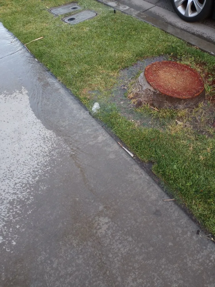 Custom yard cleanup service experts serving San Jacinto, CA - Jazmin Landscaping