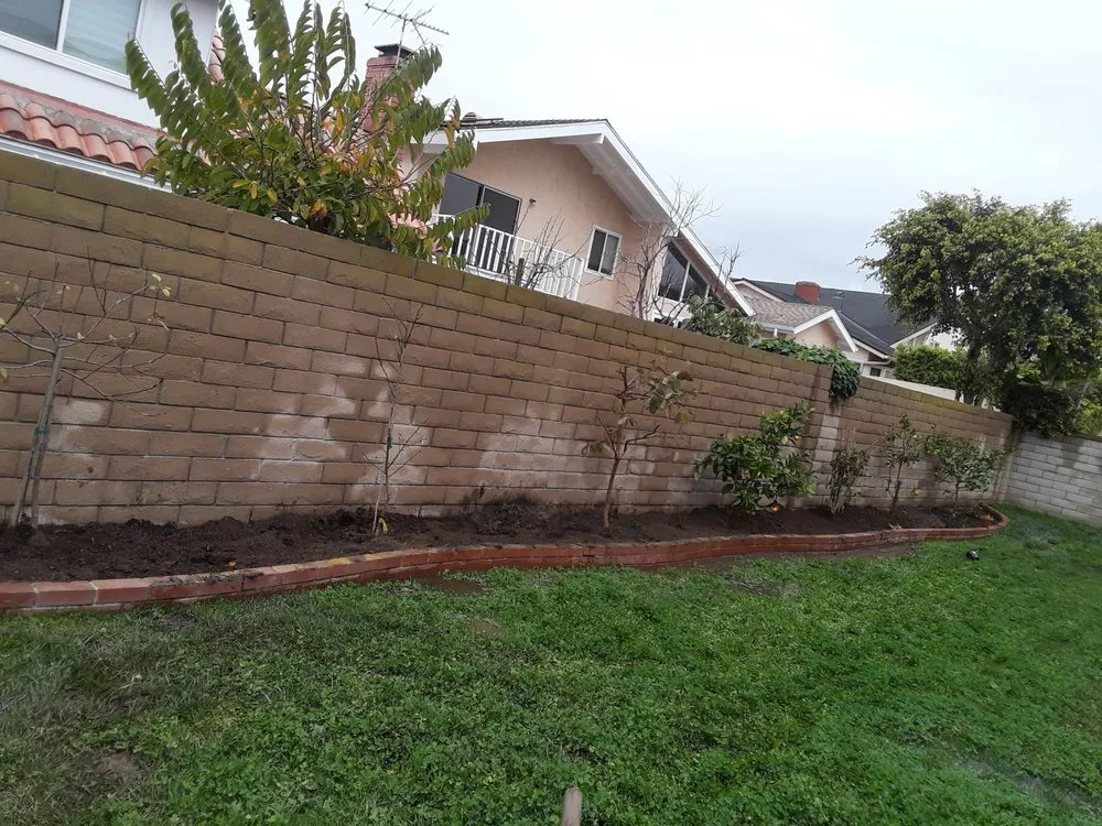 Top-rated lawn care service in San Jacinto, CA - Jazmin Landscaping