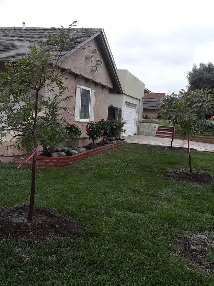 Reliable landscape installation in San Jacinto, CA - Jazmin Landscaping
