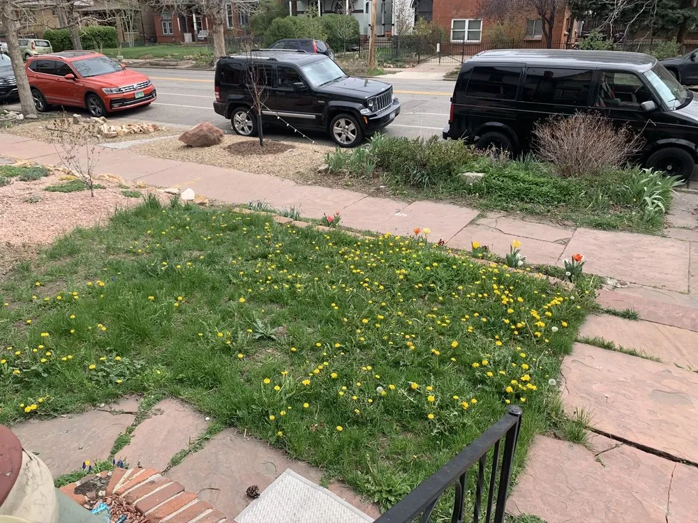 Affordable lawn mowing service experts serving Denver, CO - Jazmine's Landscaping and Tree Service