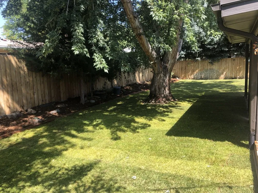 Expert landscaping services experts serving Denver, CO - Jazmine's Landscaping and Tree Service