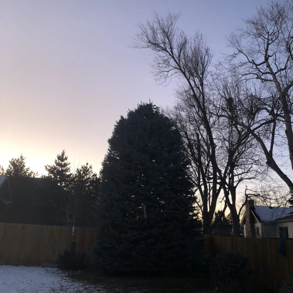 Trusted landscape installation with custom design in Denver, CO by Jazmine's Landscaping and Tree Service