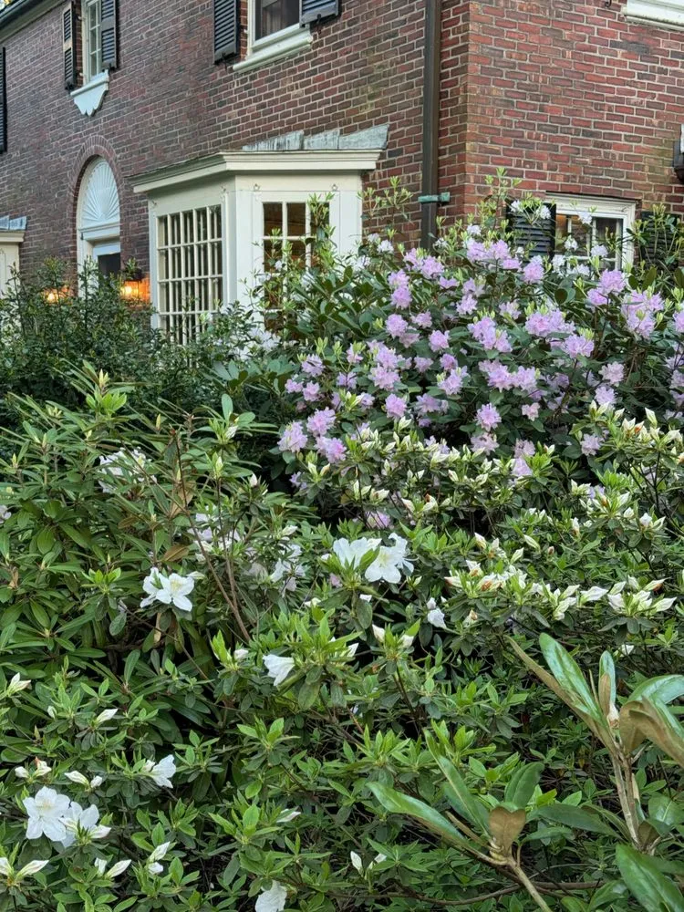 Top-rated residential landscaping in Worcester, MA by Jazzbo Landscaping