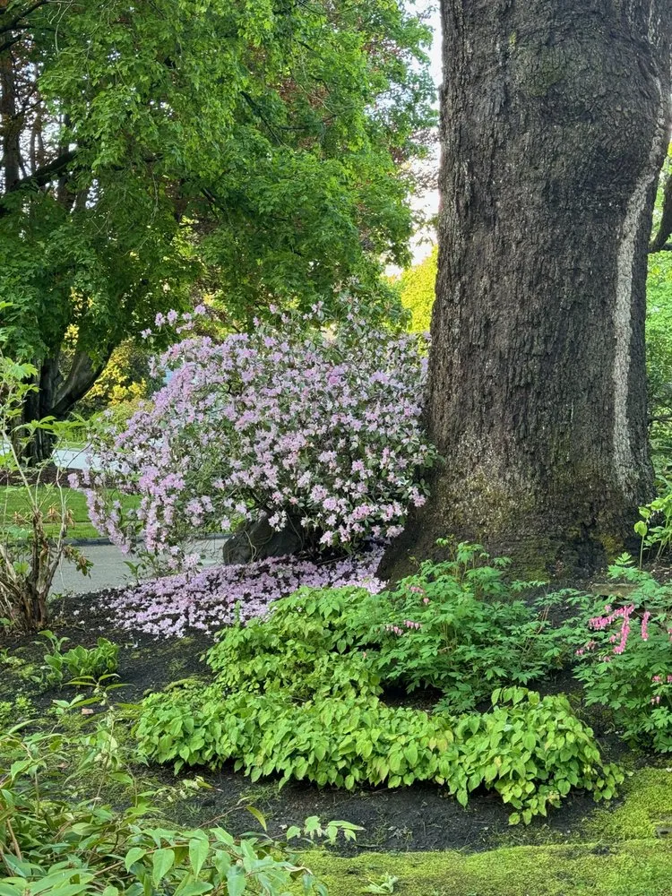 Top-rated garden landscaping for beautiful yards in Worcester, MA by Jazzbo Landscaping