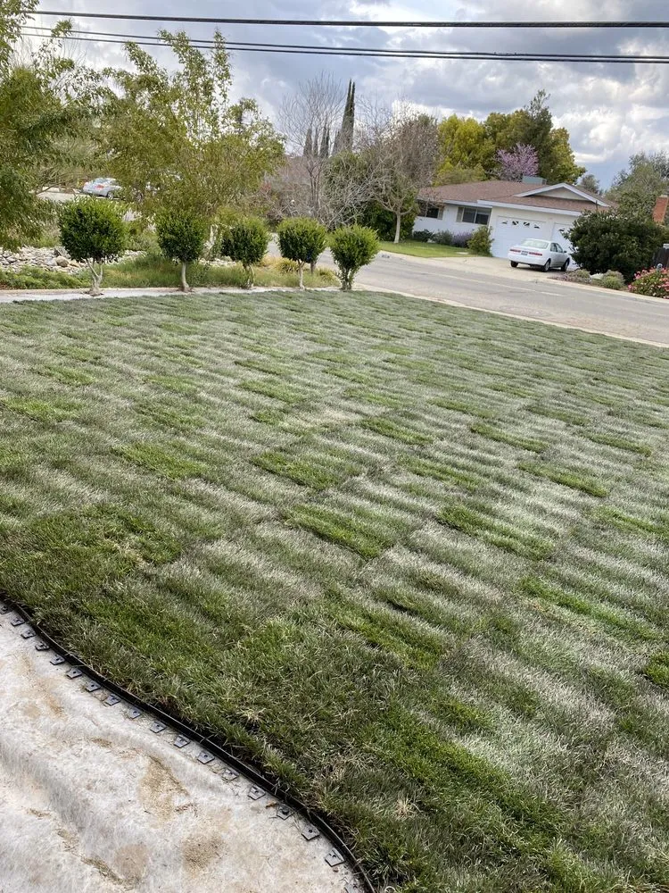 Expert garden landscaping in Turlock, CA - JB & Sons Landscaping