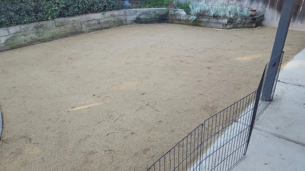 Affordable landscape design for residential properties across Turlock, CA - JB & Sons Landscaping