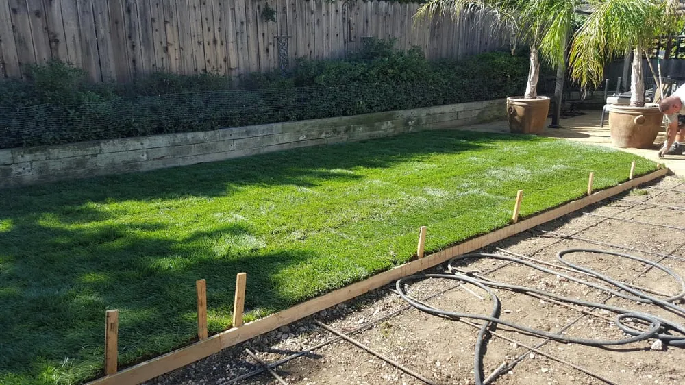 Trusted outdoor landscaping for year-round maintenance across Turlock, CA - JB & Sons Landscaping