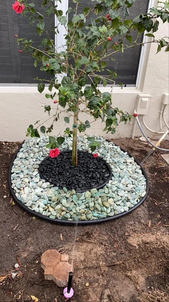 Professional yard maintenance in Boynton Beach, FL by JB And Son Lawn Care