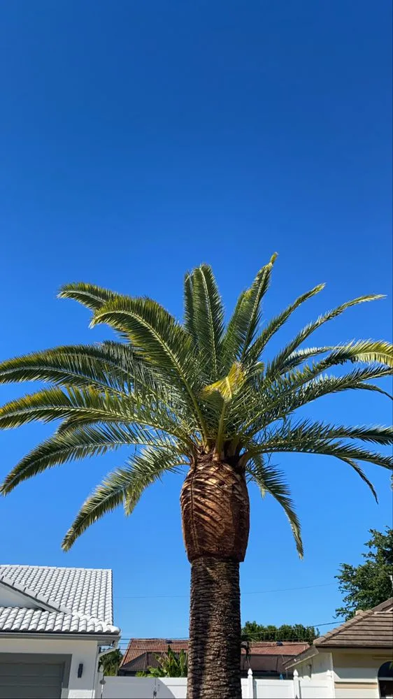 Trusted landscape design in Boynton Beach, FL - JB And Son Lawn Care