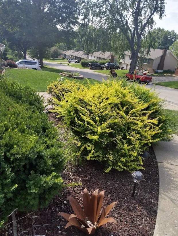 Affordable landscaping services near you across Independence, MO - JB and Sons Landscape