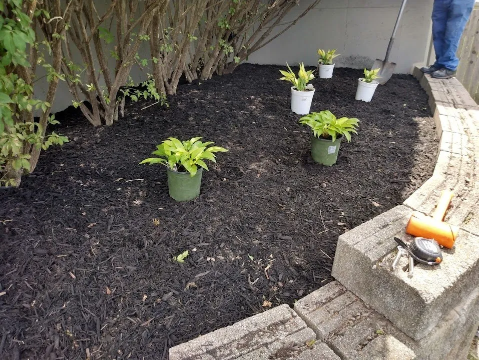 Top-rated yard maintenance near you in Independence, MO by JB and Sons Landscape