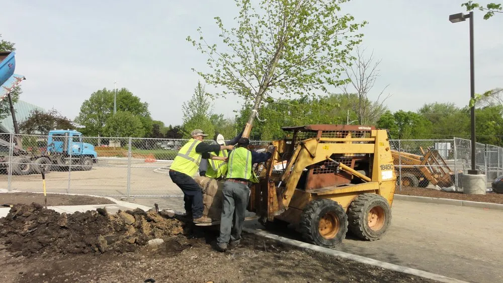 Affordable yard cleanup service for homes in Arlington Heights, IL by J.B. Block Enterprises