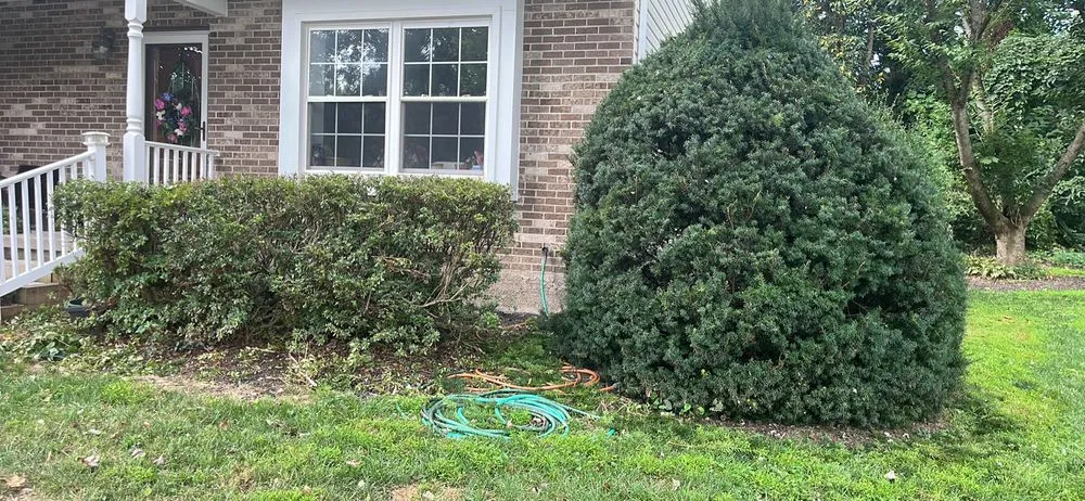 Custom yard cleanup service experts serving Nottingham, MD - J&B Company