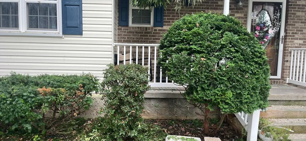 Local landscaping services in Nottingham, MD by J&B Company