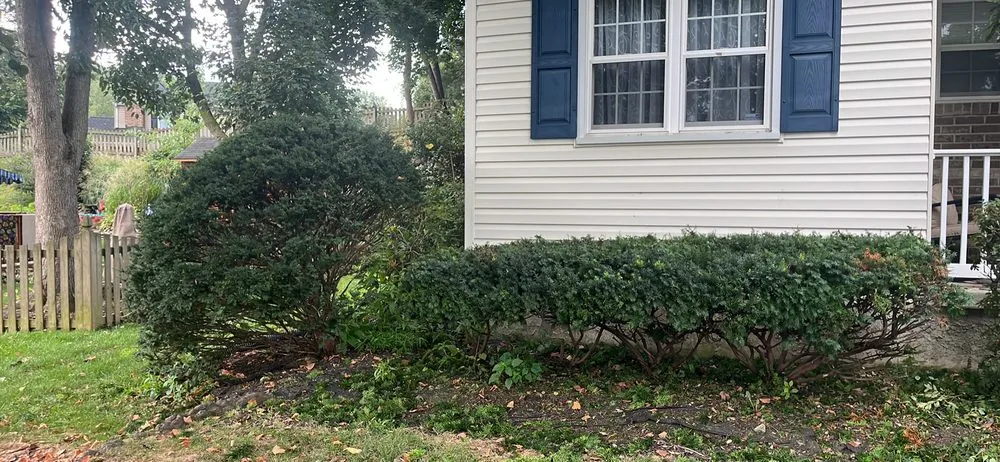 Expert lawn mowing service in Nottingham, MD by J&B Company