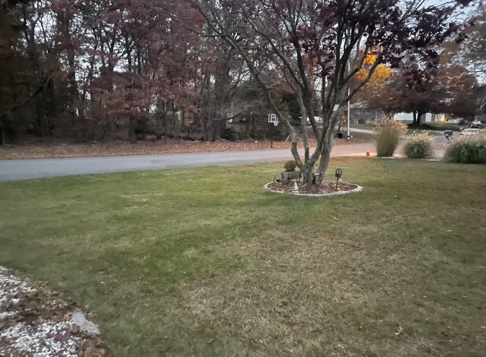 Affordable outdoor landscaping near you in Johnston, RI by J&B Customized Landscaping