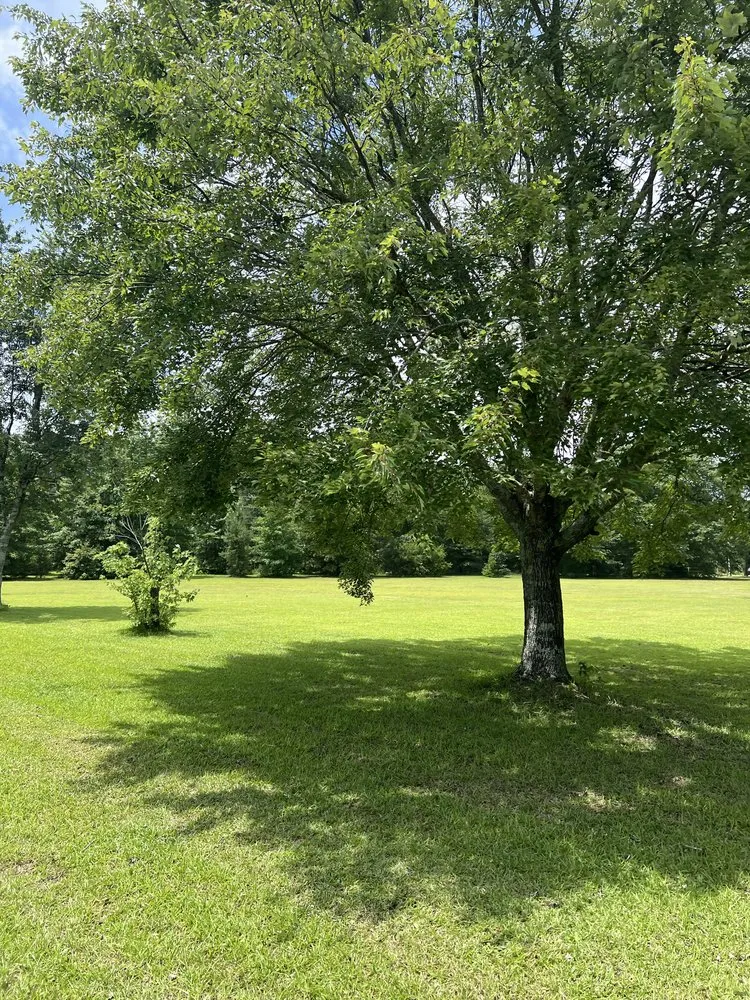 Trusted yard cleanup service for outdoor upgrades across Fayetteville, NC - Jb Cuts