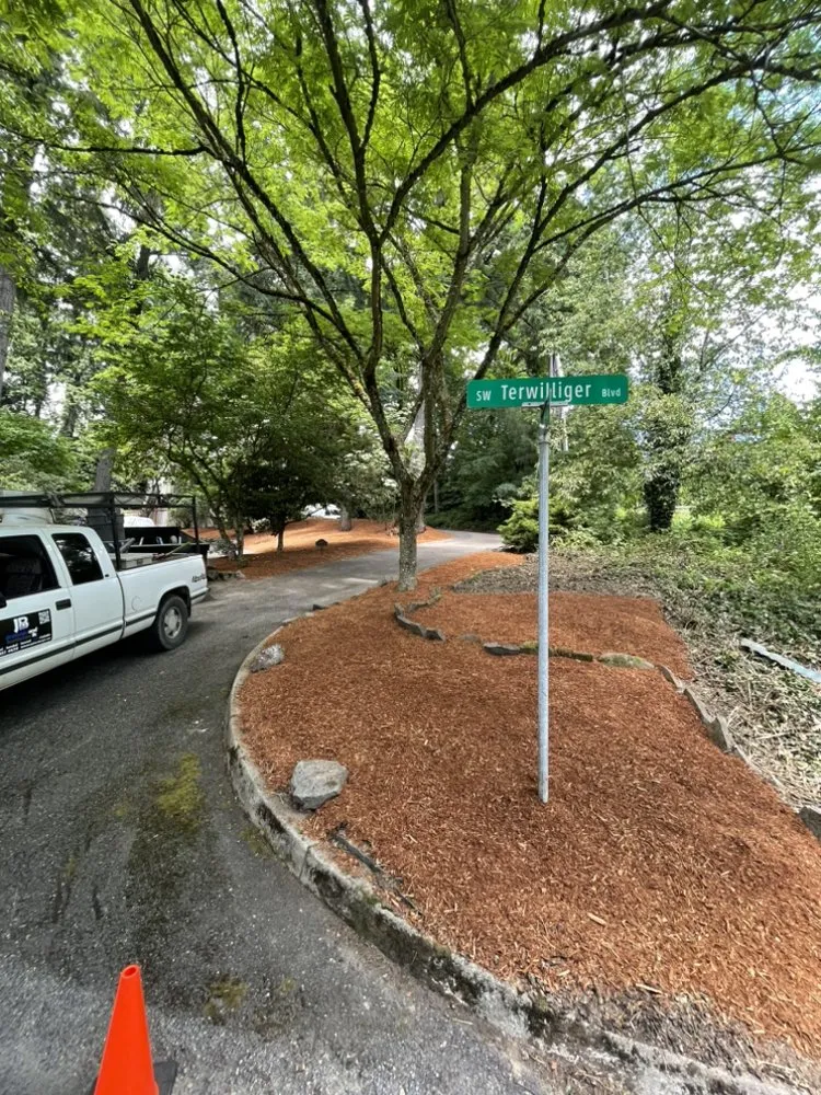 Top-rated yard cleanup service in Portland, OR - Jb Drainage and hardscape