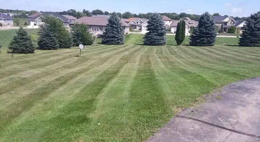 Reliable landscaping services in Stoughton, WI by JB Enterprises