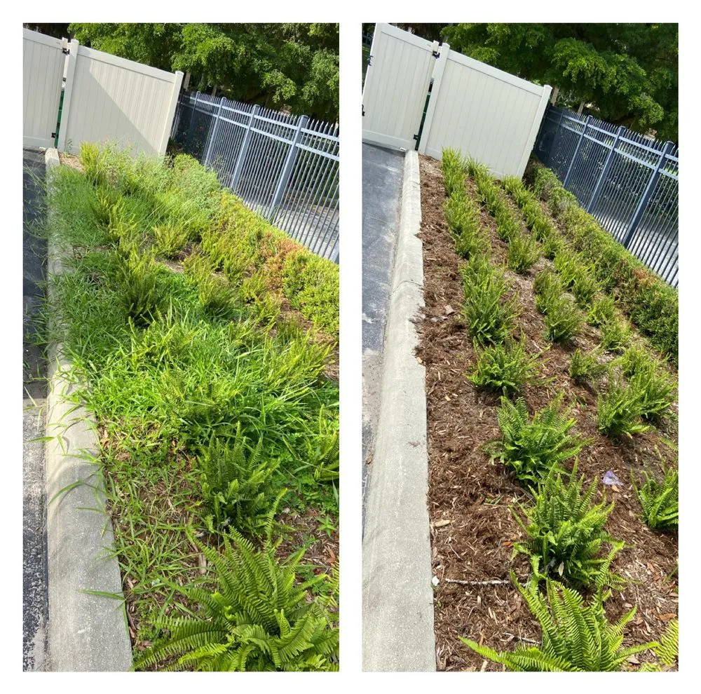 Custom yard cleanup service in Bradenton, FL by JB Family Lawn Care