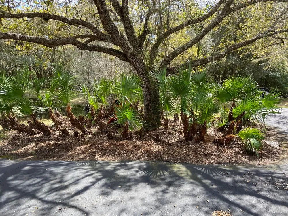 Expert yard cleanup service in Bradenton, FL - JB Family Lawn Care