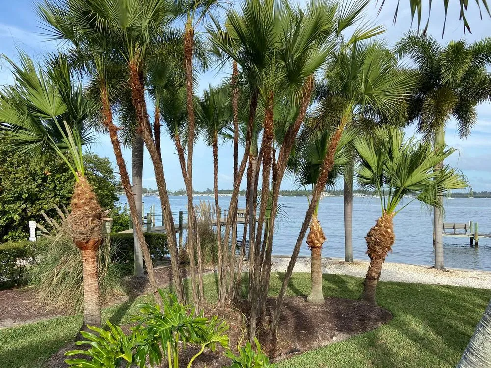 Custom landscape design for homes across Bradenton, FL - JB Family Lawn Care